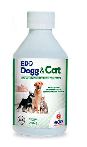    Medicamentos veterinarios-Dogg & Cat.