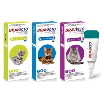 Medicamentos veterinarios-Bravecto Spot On Gatos